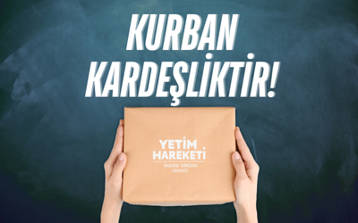 6805f738708b3_yurtd_png