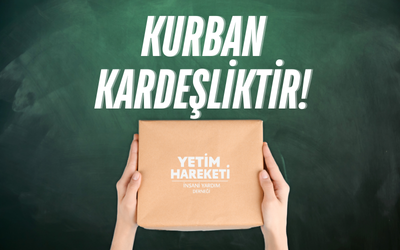 6805f750802ef_yurti_png