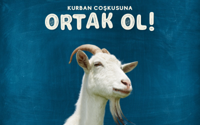 67f0055ec94c1_Keci_png-1